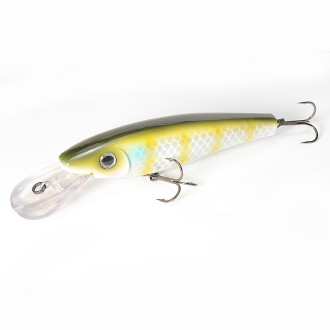 MuskyShad_Musky Shad 155mm    38g