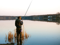 quis nostrud exercitation