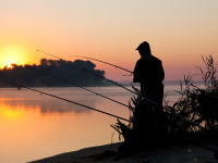 ullamco laboris nisi