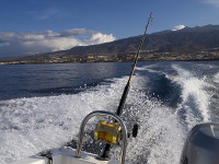 Neque porro quisquam