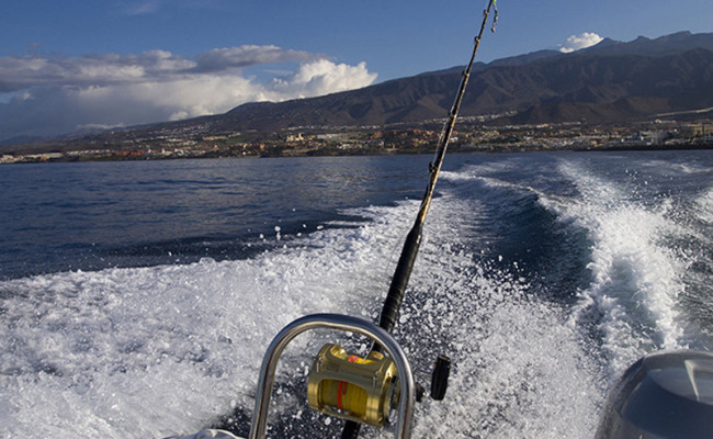 Family Fishing