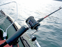 sed do eiusmod tempor