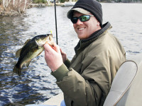 Ut enim ad minim veniam