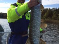 Our lure fishing real case 10