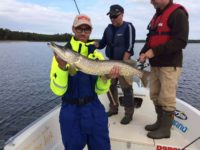 Our lure fishing real case 9