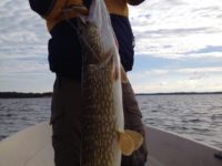 Our lure fishing real case 7