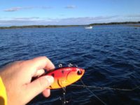 Our lure fishing real case 4