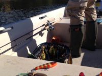 Our lure fishing real case 2
