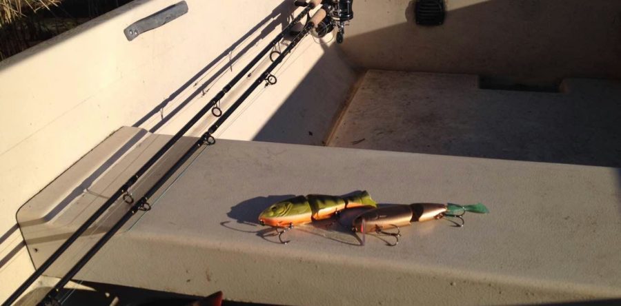 Our lure fishing real case 2